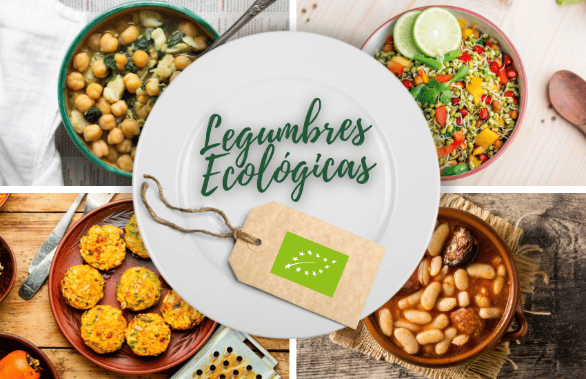 legumbres-ecologicas-organicas-ingredientes-productos-ecologicos-bio-biorestauracion-concurso-cocina-ecologica
