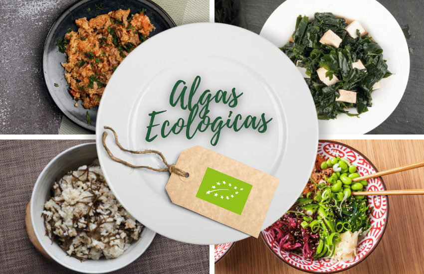 algas-comestibles-ecologicas-ingredientes-productos-ecologicos-bio-biorestauracion-concurso-cocina-ecologica