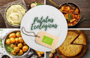 patatas-ecologicas-ingredientes-productos-ecologicos-bio-biorestauracion-concurso-cocina-ecologica