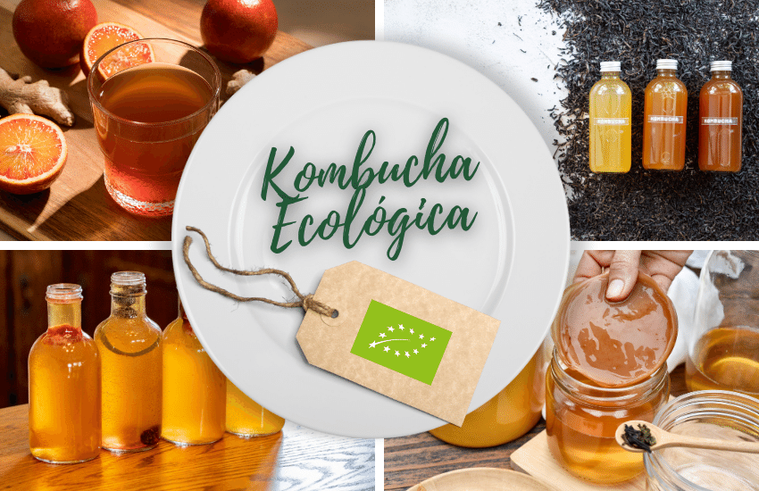 kombucha-ecologica-ingredientes-productos-ecologicos-bio-biorestauracion-concurso-cocina-ecologica