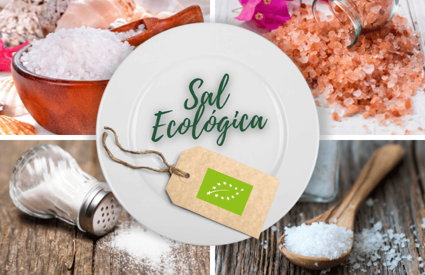 sal-ecologica-ingredientes-productos-ecologicos-bio-biorestauracion-concurso-cocina-ecologica