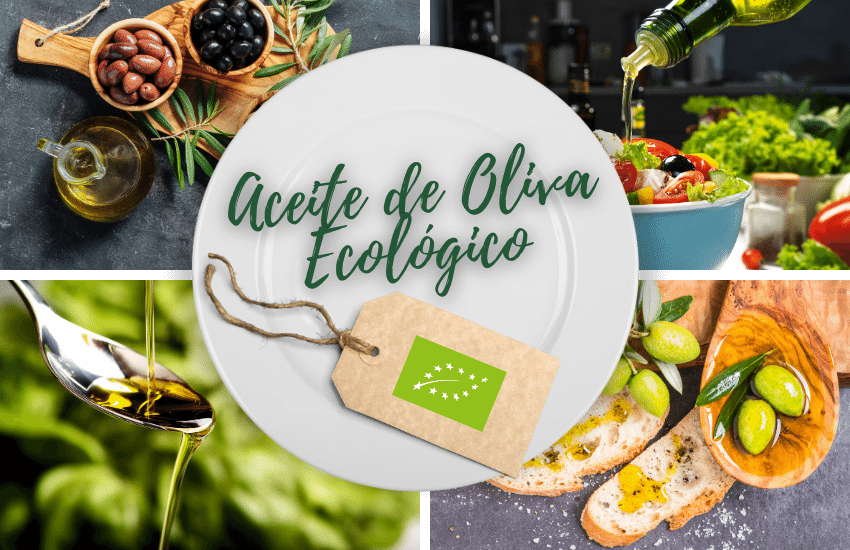 aceite-oliva-ecologico-ingredientes-productos-ecologicos-bio-biorestauracion-concurso-cocina-ecologica