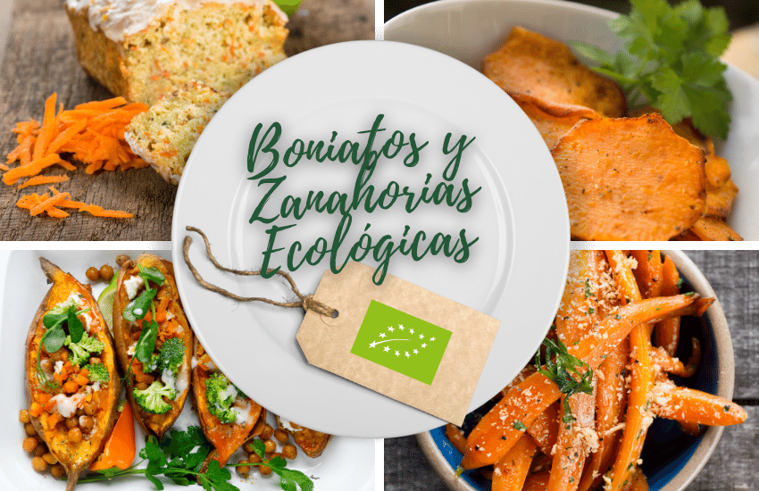 boniato-ecologico-zanahoria-ecologica-ingredientes-productos-ecologicos-bio-biorestauracion-concurso-cocina-ecologica