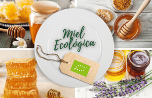 miel-ecologica-ingredientes-productos-ecologicos-bio-biorestauracion-concurso-cocina-ecologica